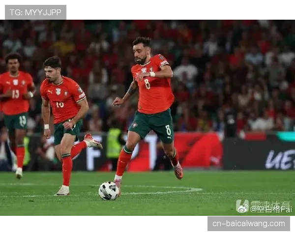 F组葡萄牙领先优势明显 匈牙利保留晋级希望